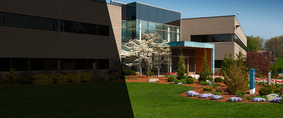Seaforth Landscapers