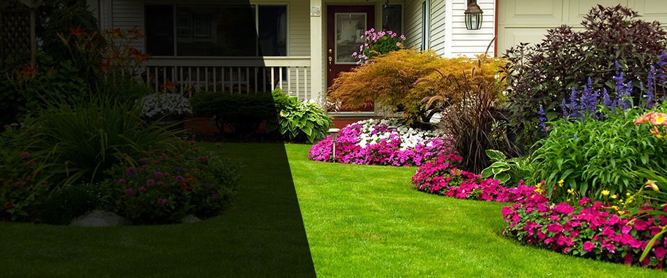 Seaforth Landscapers
