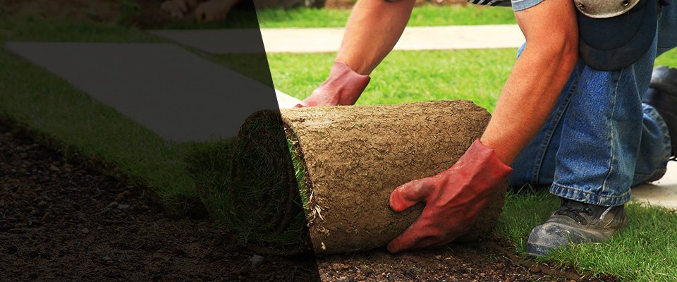 Seaforth Landscapers